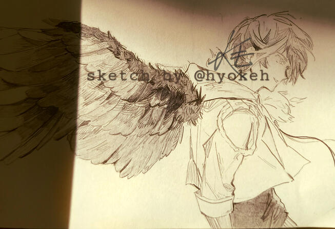 Wings Wings